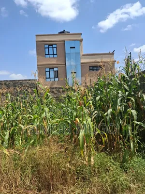 Ruiru Kimbo Matangi Prime 40x60 Ready Title