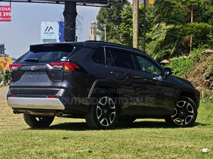Toyota RAV4 2019 Gray