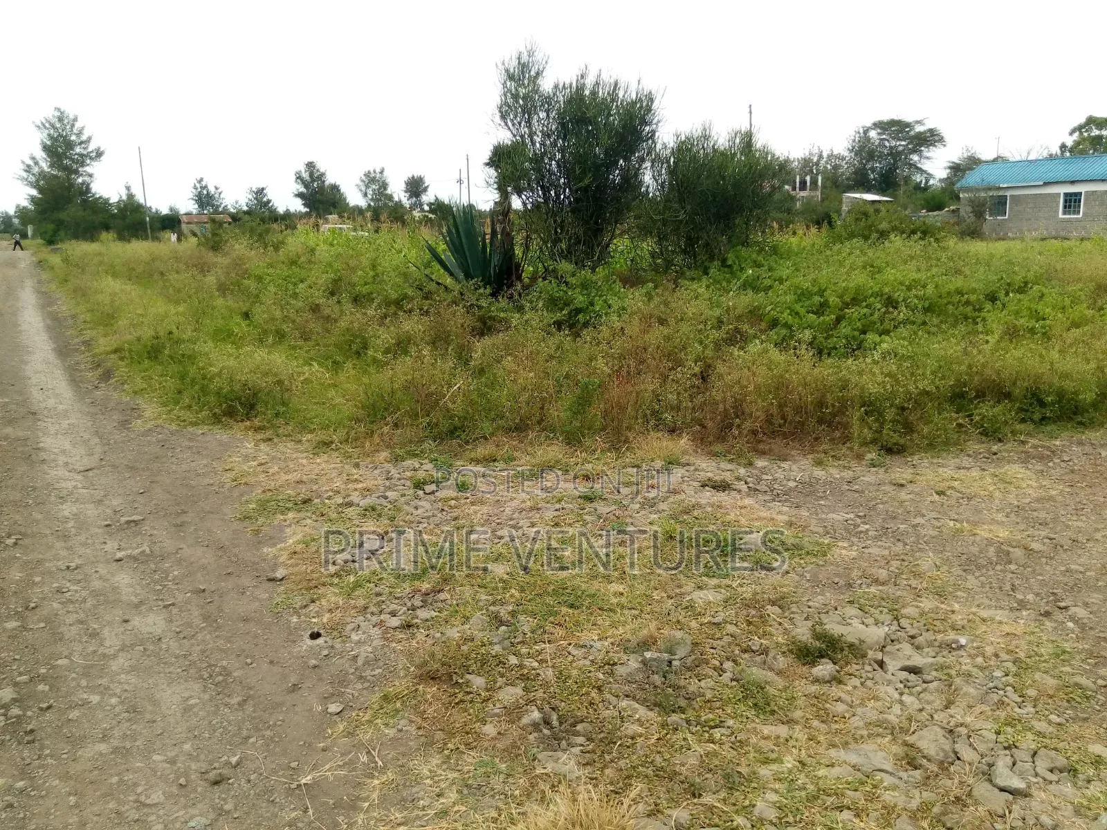 Prime Corner Plot Ruai Half Acre