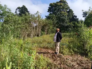 Plot For Sale