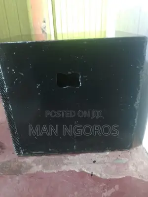 Bass Speaker