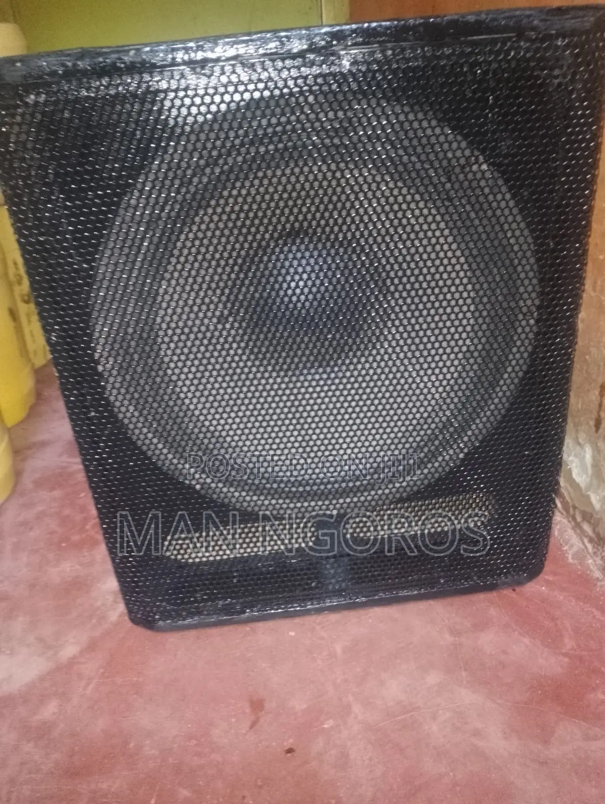 Bass Speaker