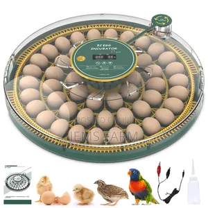 Fully Automatic 52 Egg Incubator Ac/Dc