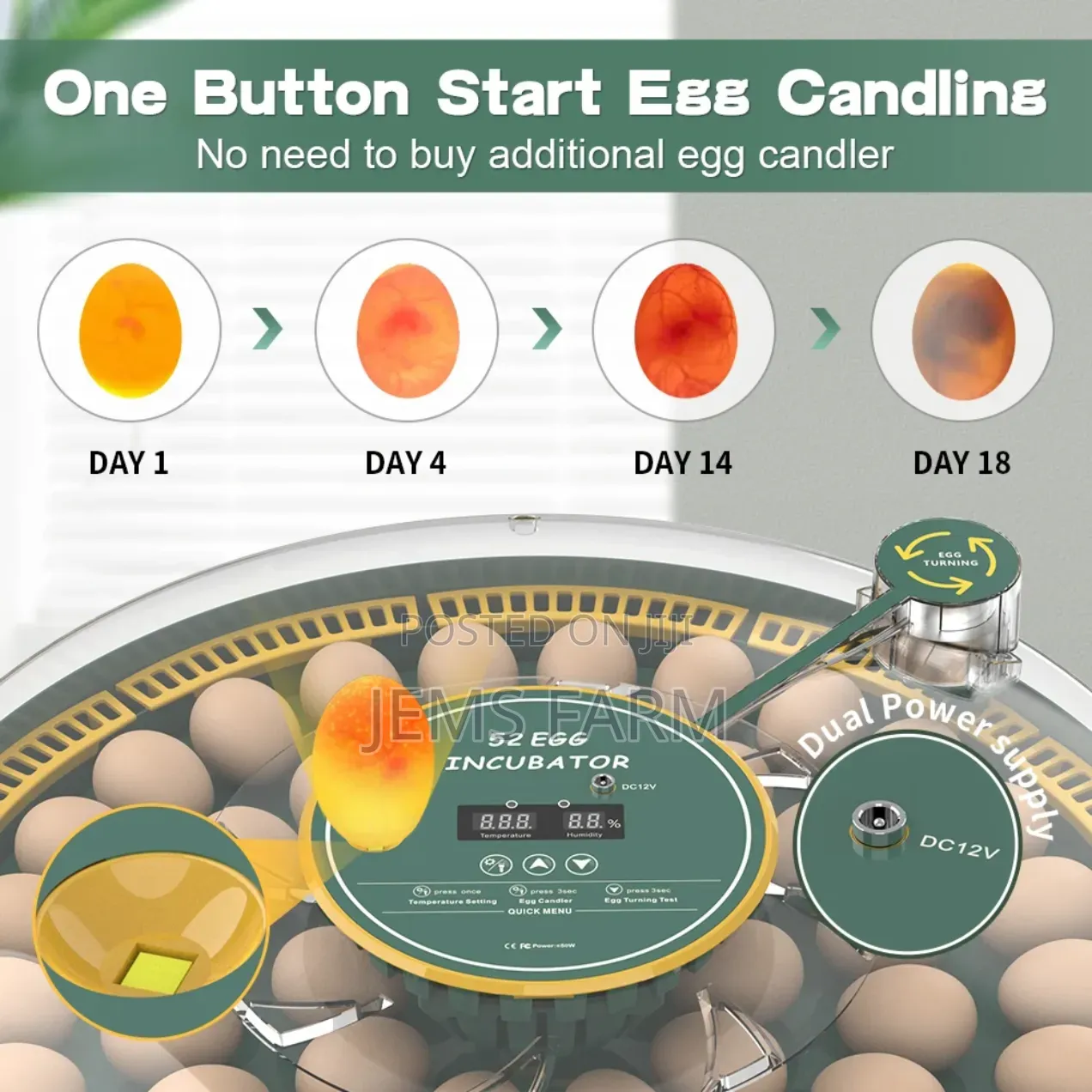 Fully Automatic 52 Egg Incubator Ac/Dc