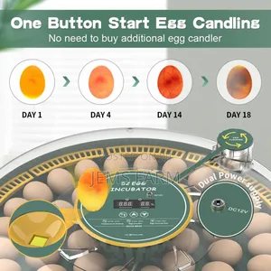 Fully Automatic 52 Egg Incubator Ac/Dc