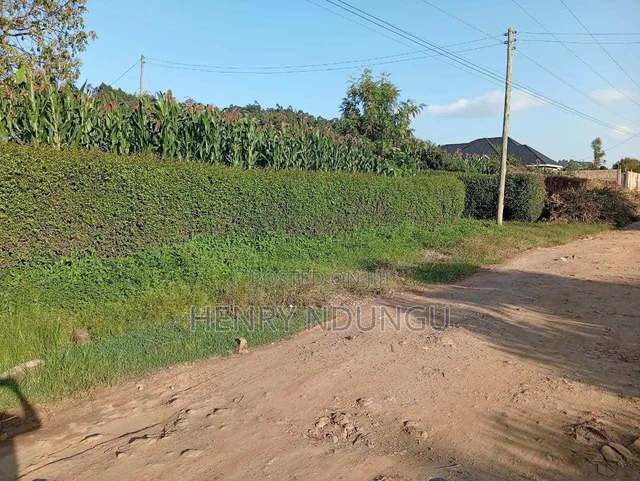 Suitable Plot For Sale