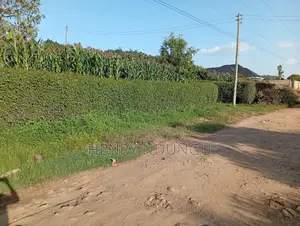 Suitable Plot For Sale