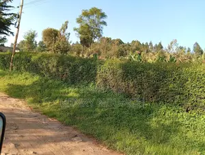 Suitable Plot For Sale