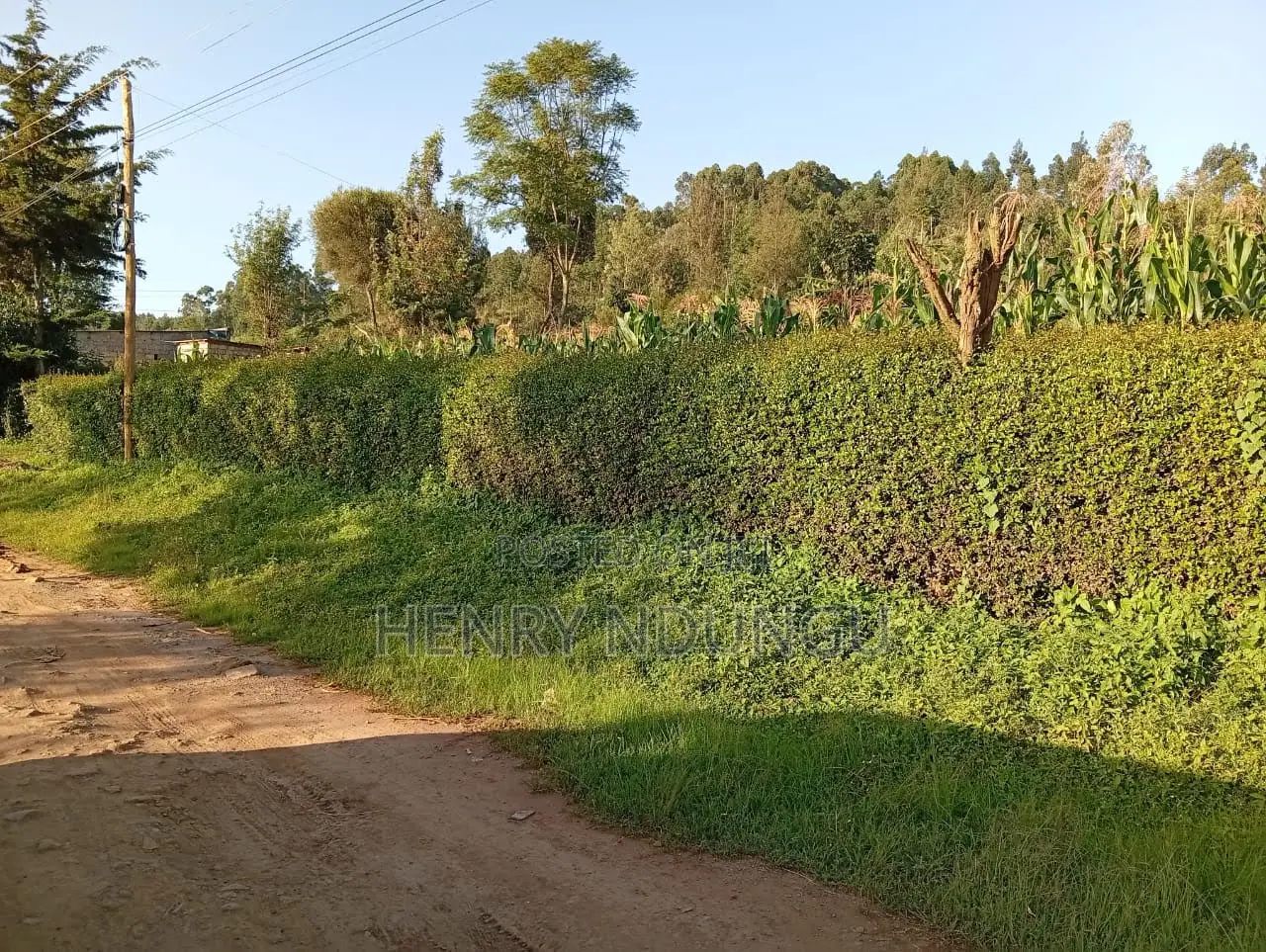 Suitable Plot For Sale