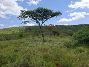 31 Acres of Prime Virgin Land for Sale in Saikeri