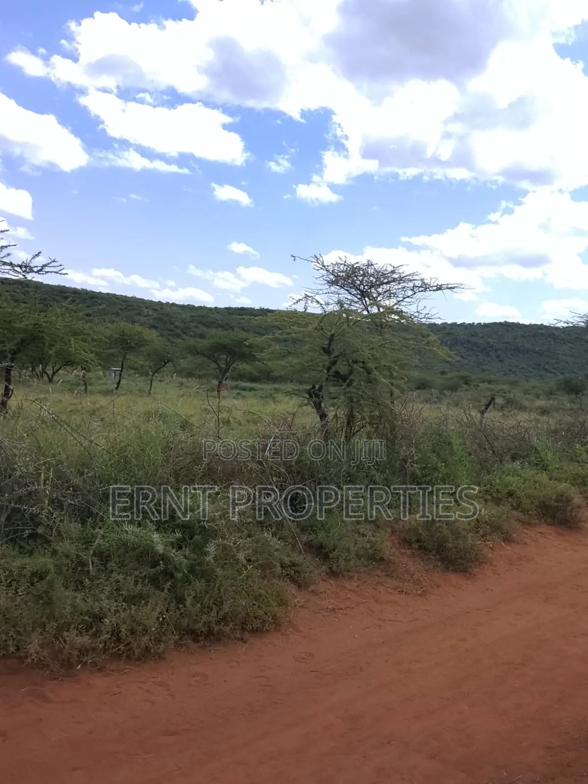 31 Acres of Prime Virgin Land for Sale in Saikeri