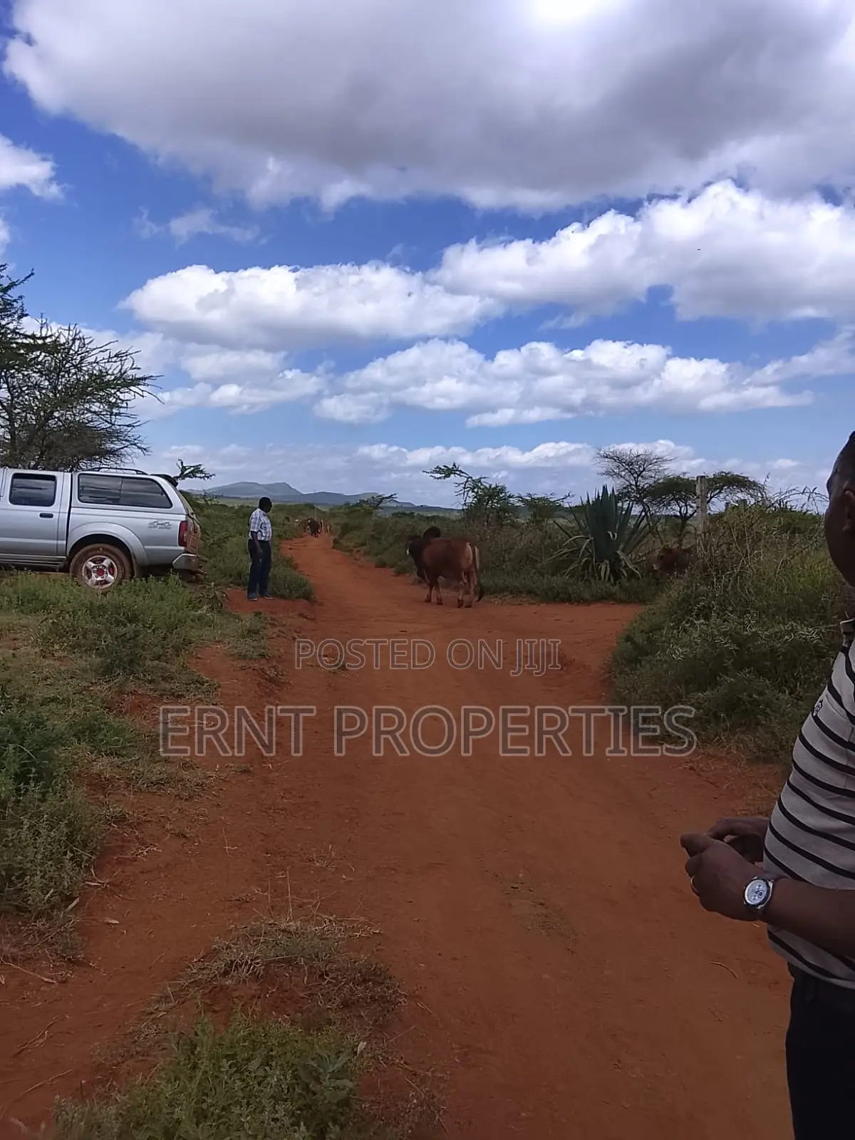 31 Acres of Prime Virgin Land for Sale in Saikeri