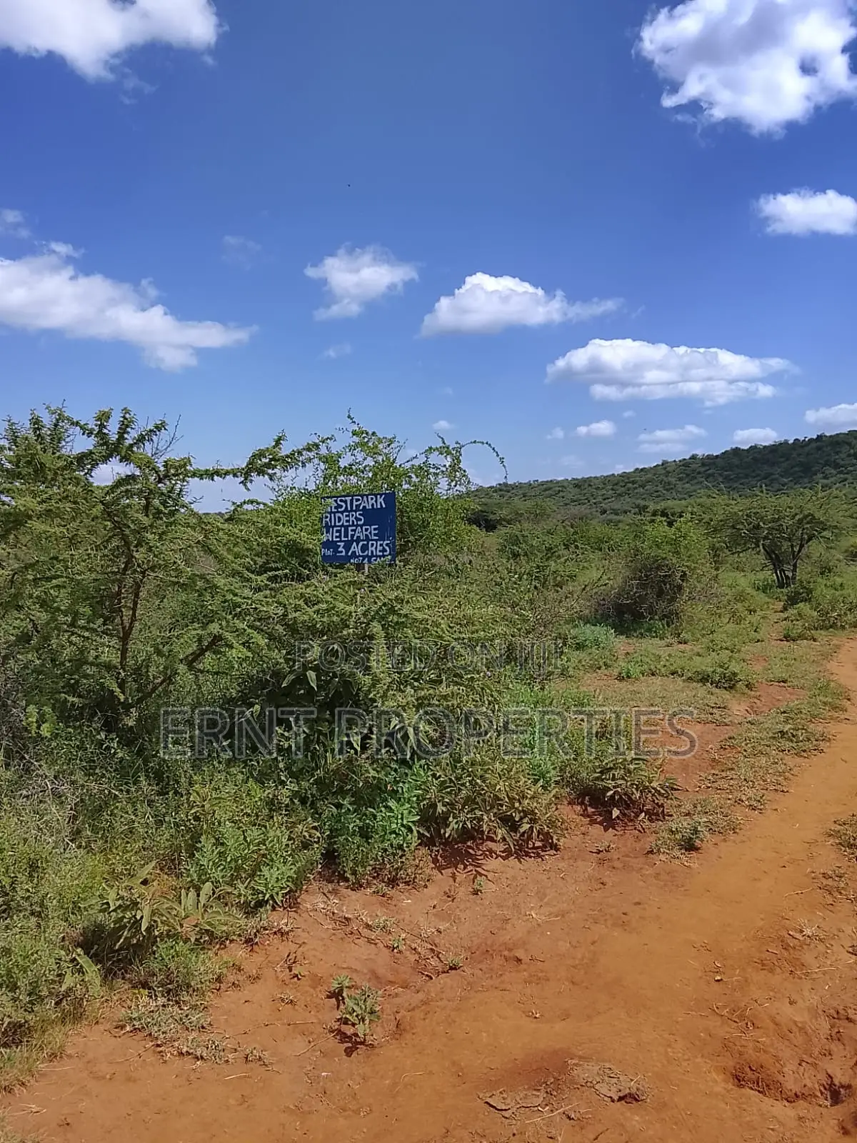 31 Acres of Prime Virgin Land for Sale in Saikeri