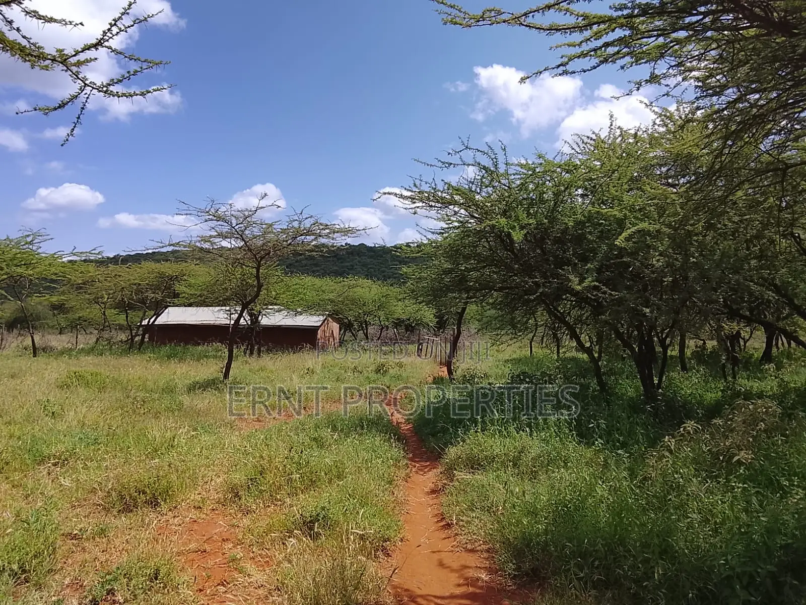 31 Acres of Prime Virgin Land for Sale in Saikeri
