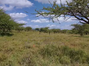 31 Acres of Prime Virgin Land for Sale in Saikeri
