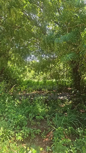 1.25acres Land in Diani Near the Beach With 3bedroom House