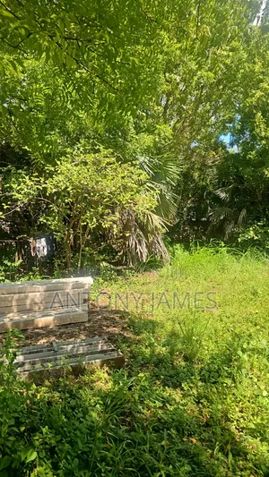 1.25acres Land in Diani Near the Beach With 3bedroom House