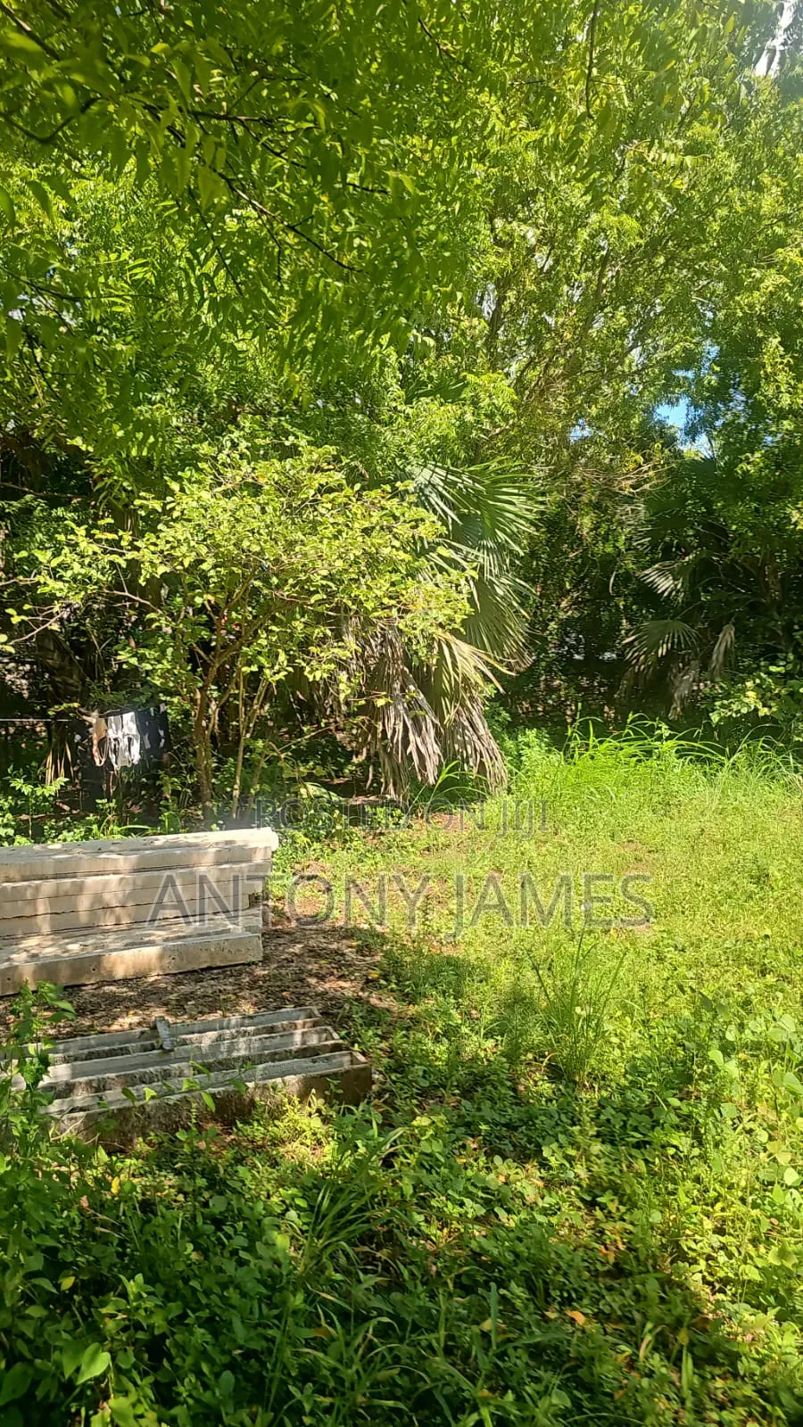 1.25acres Land in Diani Near the Beach With 3bedroom House