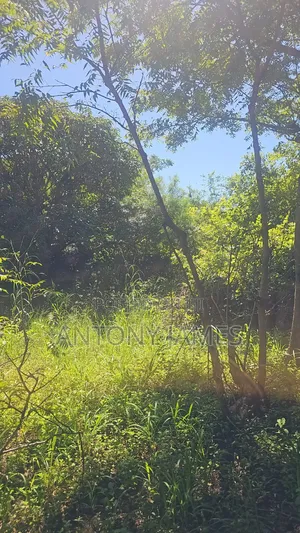 1.25acres Land in Diani Near the Beach With 3bedroom House