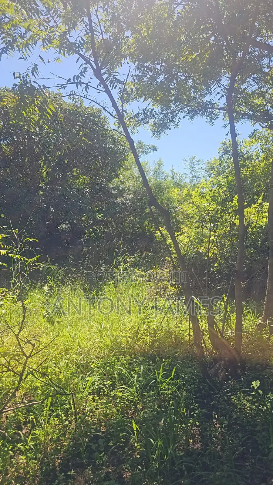 1.25acres Land in Diani Near the Beach With 3bedroom House
