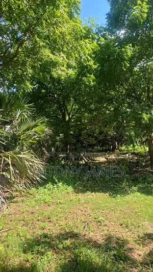 1.25acres Land in Diani Near the Beach With 3bedroom House