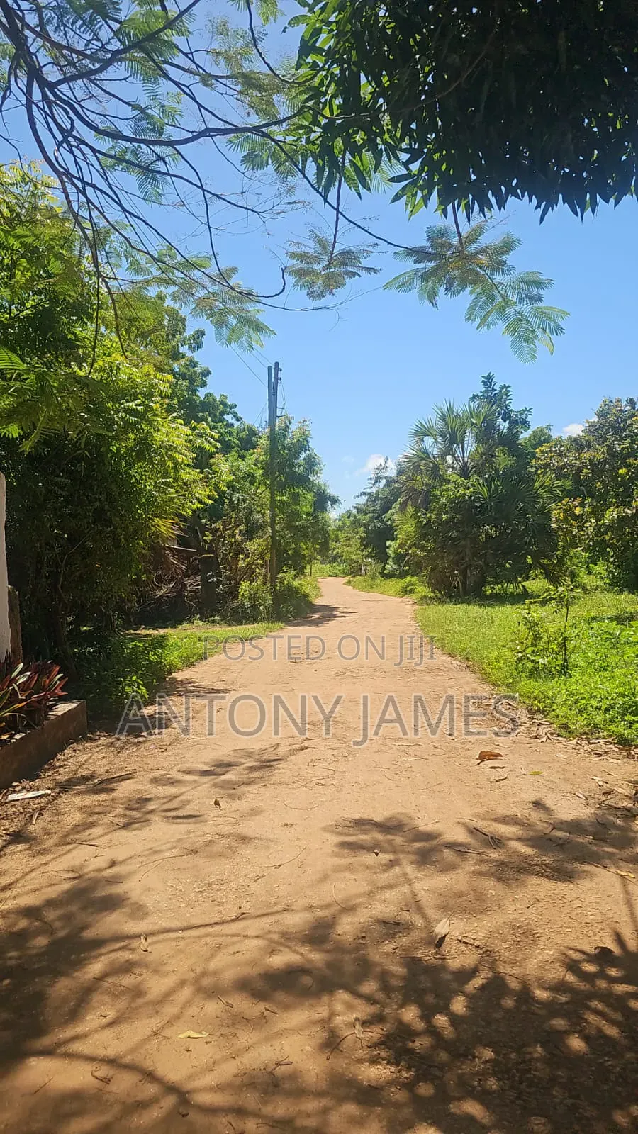 1.25acres Land in Diani Near the Beach With 3bedroom House