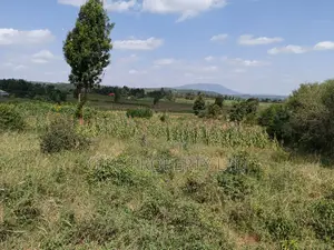 Plot for Sale