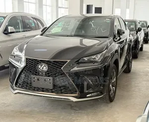 Lexus NX 300 AWD 2020 Matt Black