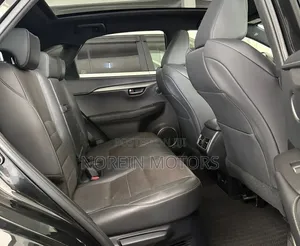 Lexus NX 300 AWD 2020 Matt Black