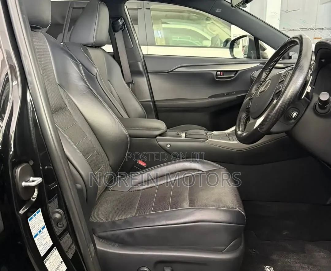 Lexus NX 300 AWD 2020 Matt Black