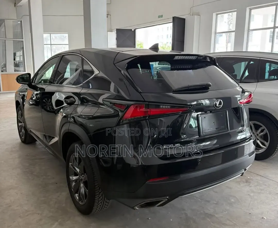 Lexus NX 300 AWD 2020 Matt Black