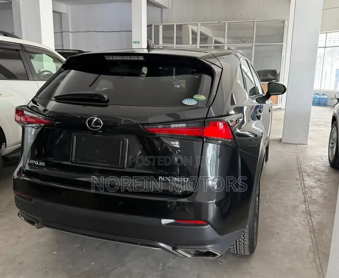 Lexus NX 300 AWD 2020 Matt Black