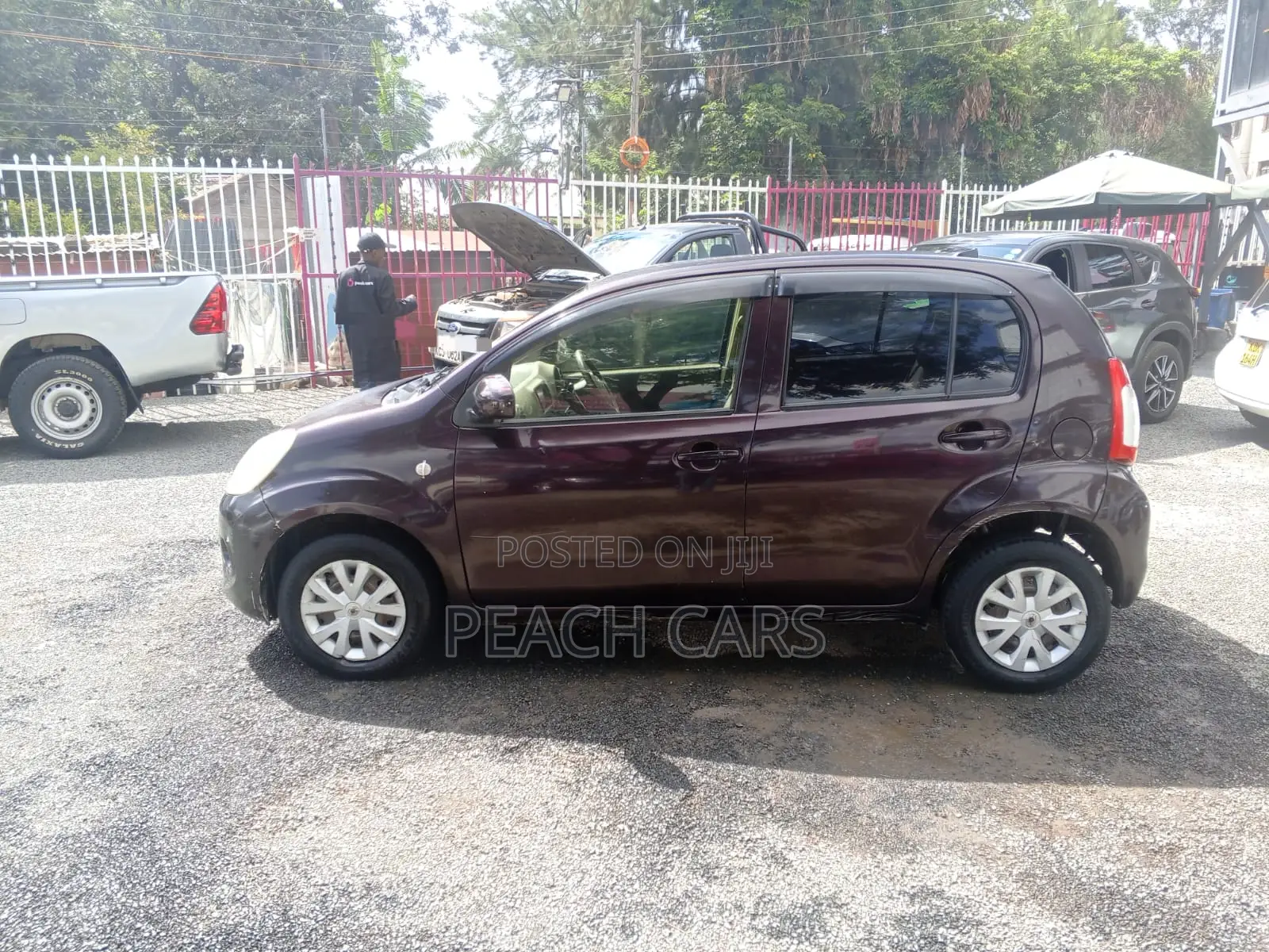 Toyota Passo 2015 Brown