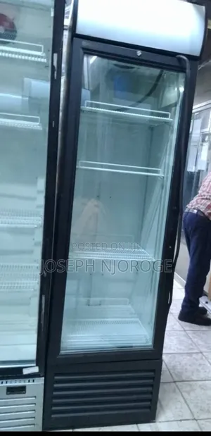 Cost Effective Display Fridge