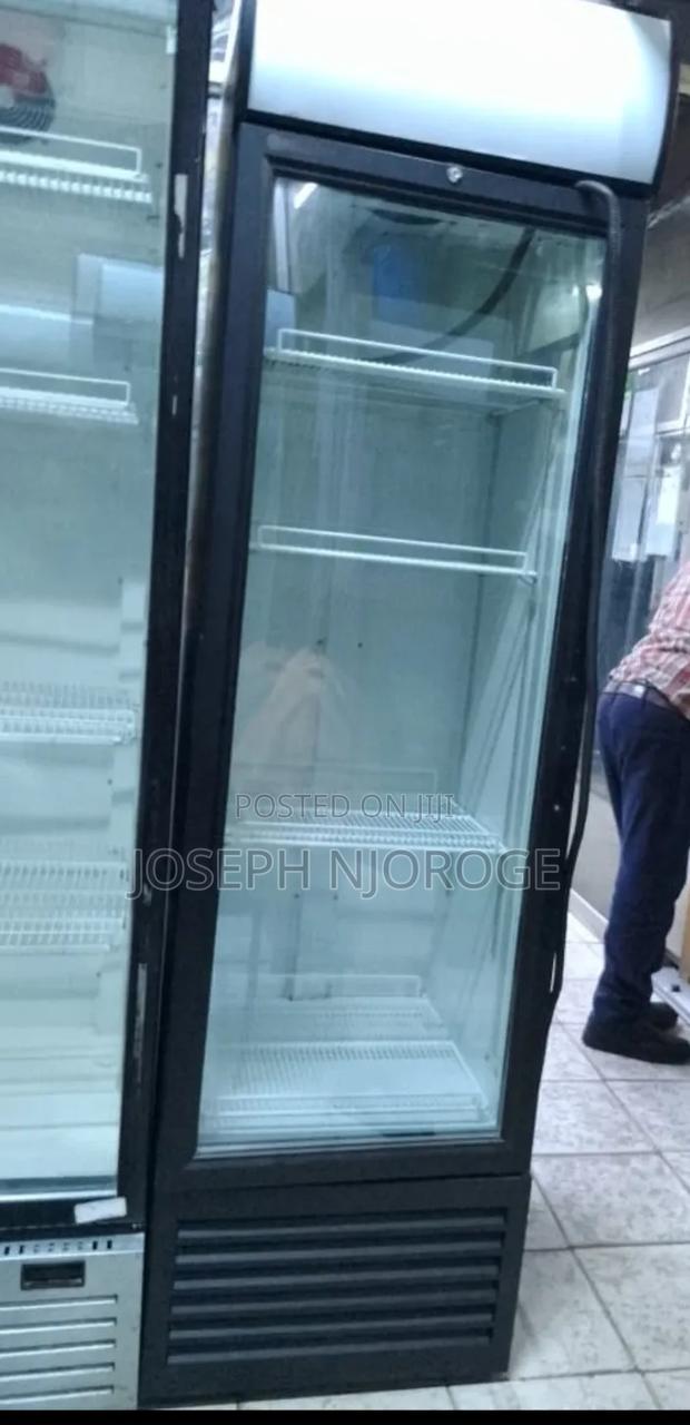 Cost Effective Display Fridge