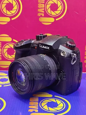 Panasonic Lumix Gh5s Mirrorless Camera