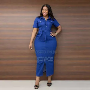 Straight Denim Dress