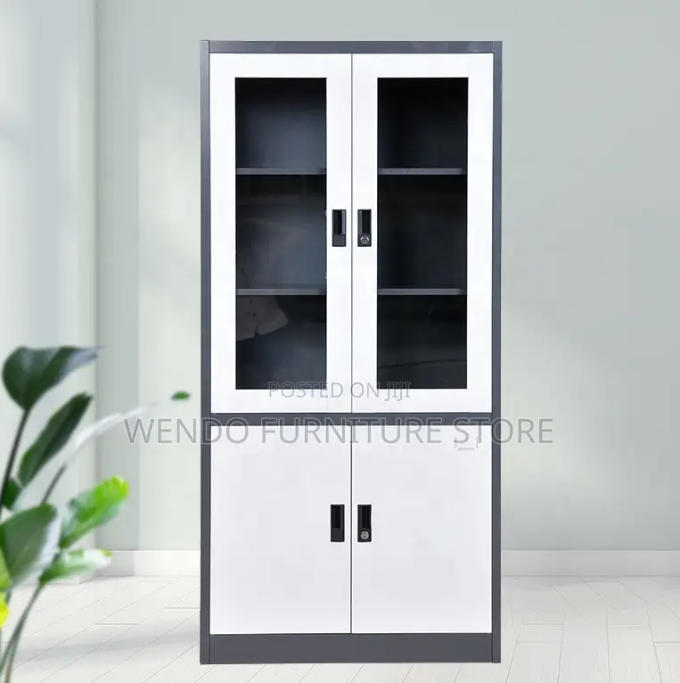 Office Cabinet; Two Doors Cabinet for Modern Offices