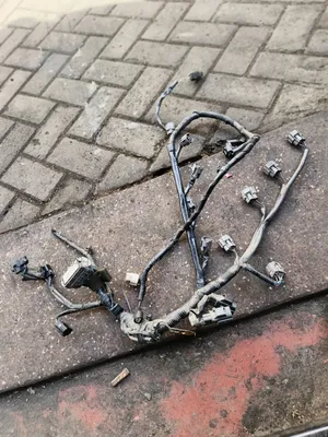 Zj Engine Harness ,Mazda Demio