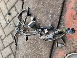 Zj Engine Harness ,Mazda Demio