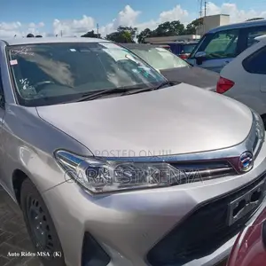 Toyota Corolla Fielder 2020 Silver