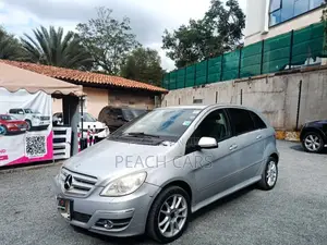 Mercedes-Benz B-Class 2010 Silver