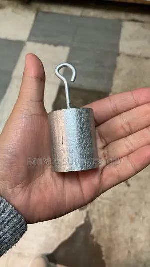 Pair of Mass With Hooks 250g
