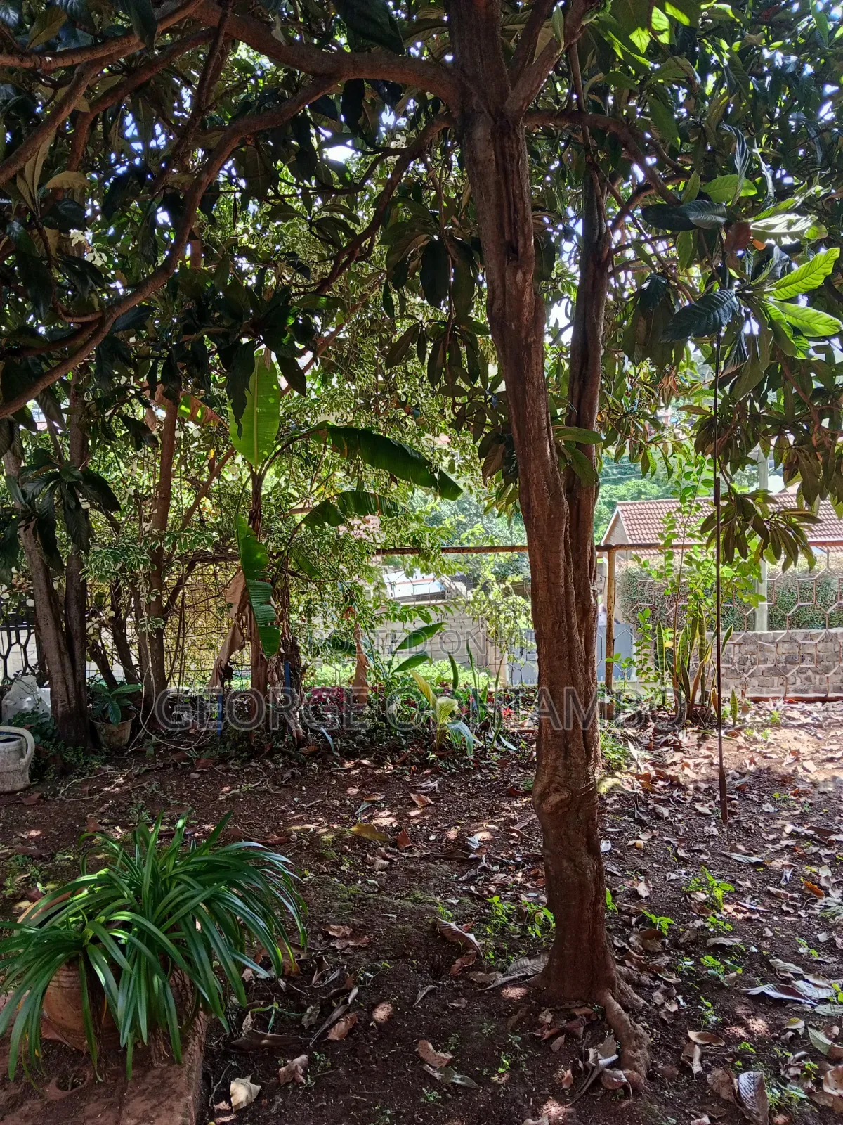 3bdrm Bungalow in Calvary Road, Ngong CBD for rent