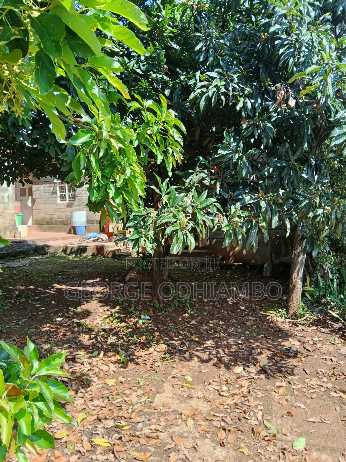 3bdrm Bungalow in Calvary Road, Ngong CBD for rent