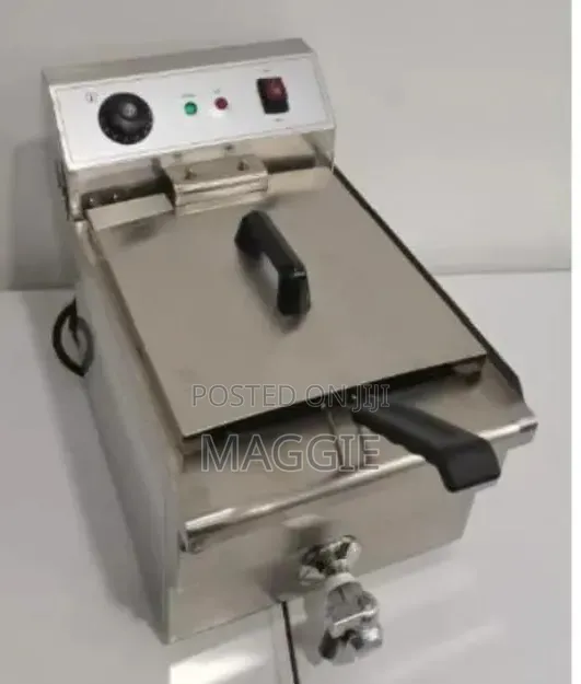 Single Electric Fryer 12l