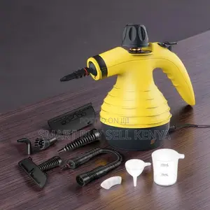Bathroom Cleaning Multipurpose Portable High Pressurized Steam Cleaner