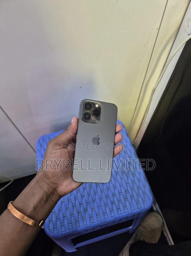 Apple iPhone 13 Pro 256 GB Gray - thumbnail 8