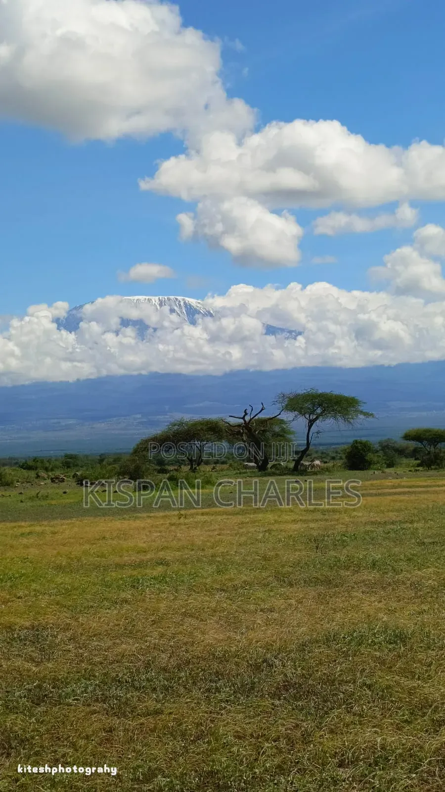 Ready Title 31acres Imbirikani Land