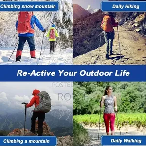 Hiking Stick